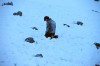 dyatlov pass incident 1.jpg